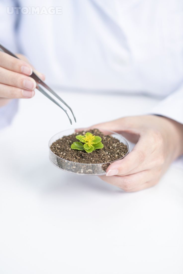 유토이미지 _ 메디컬핸즈 212.jpg