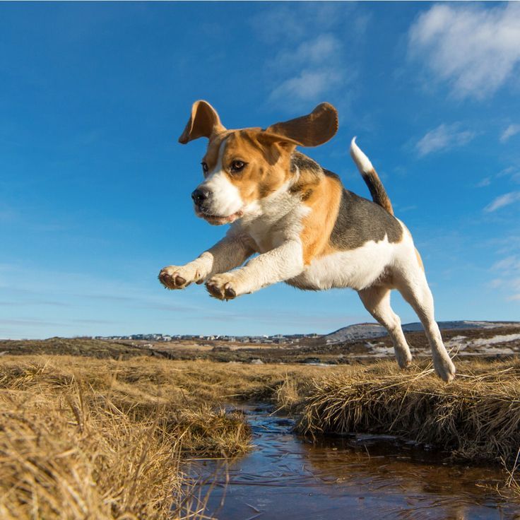 #Determination !!! Grow a living memory tree from….jpg