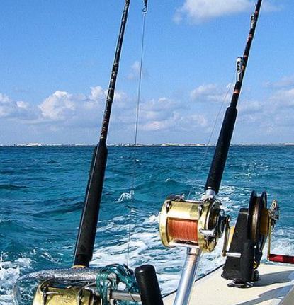 어부지리 바다낚시.jpg