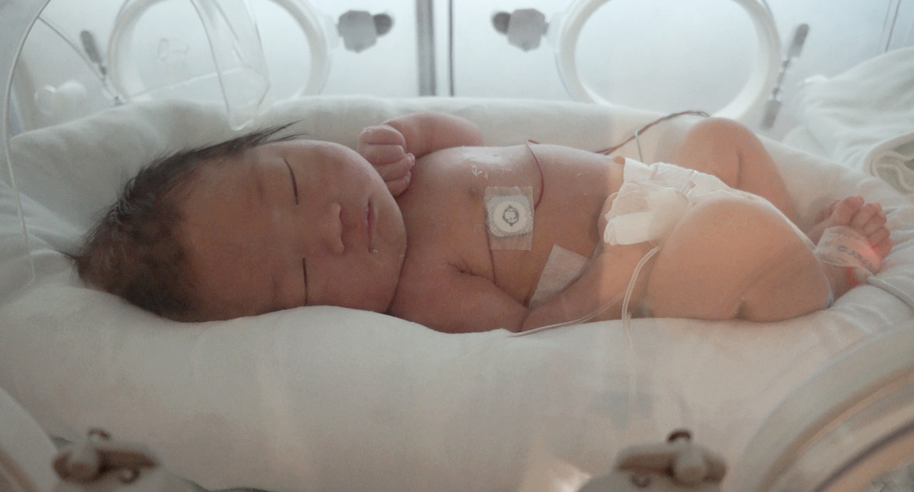 2025-11-15 17 11 35.jpg