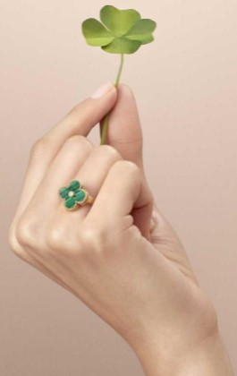 화면 캡처 2025-12-07 205453.jpg