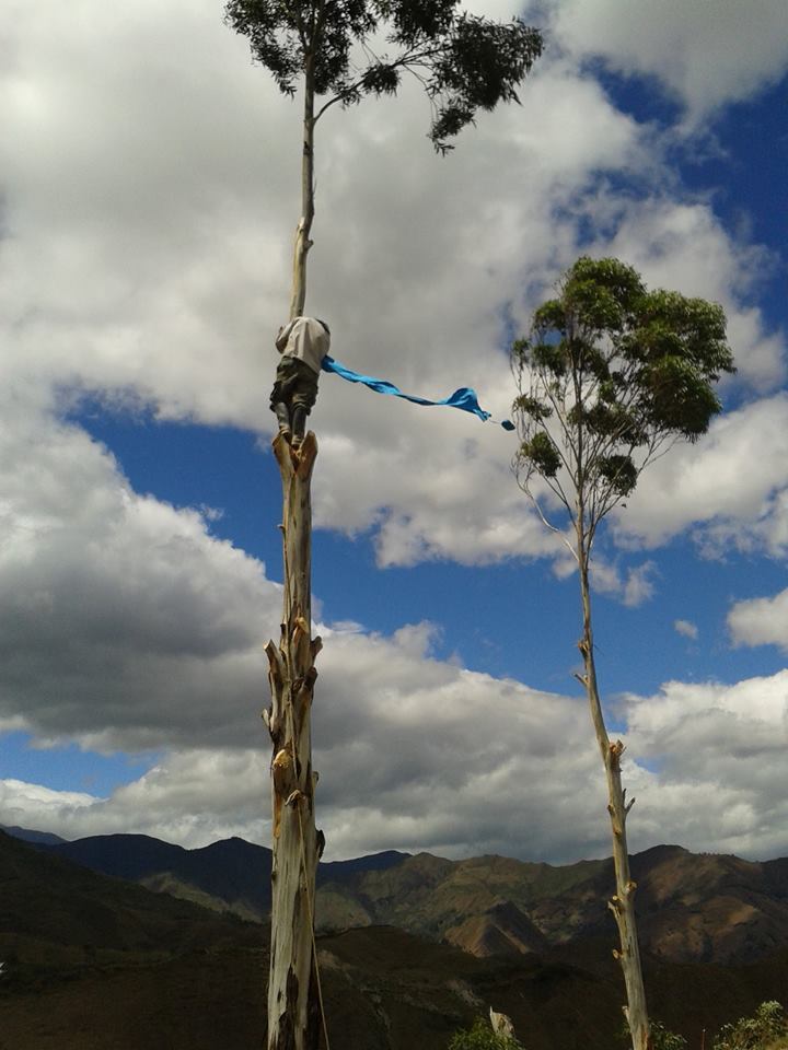 마뉴엘 on the tree.jpg