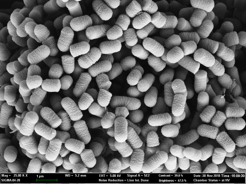 첨부1)유산균이 프로바이오틱스 아니야(1편).jpg