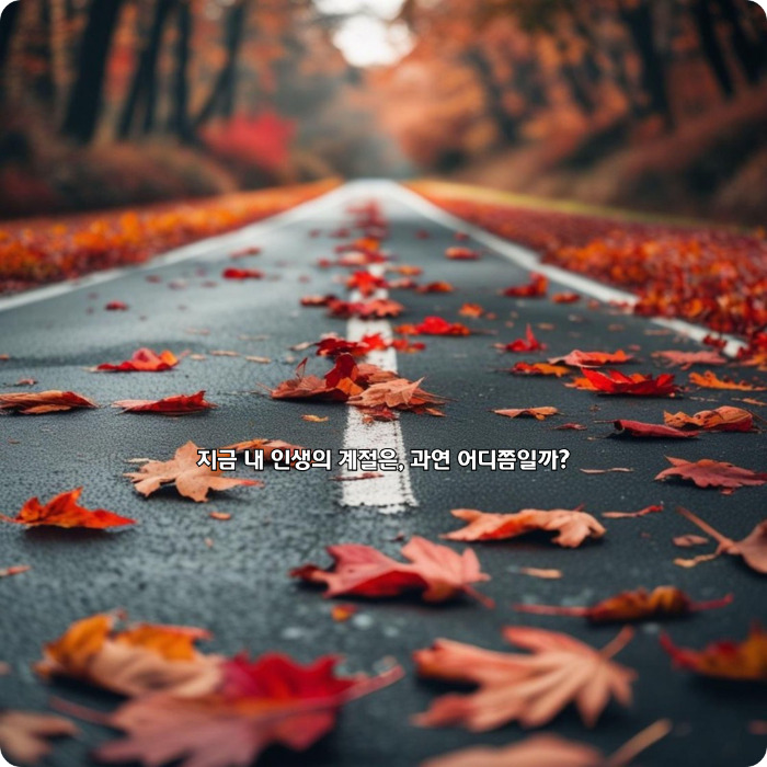 사본 -제목을-입력해주세요_-006 (5).jpg