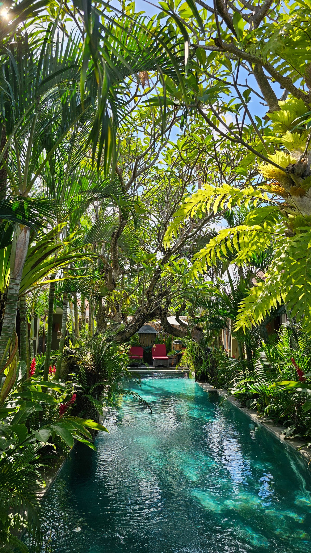 KakaoTalk_20251204_153333182 (1).jpg