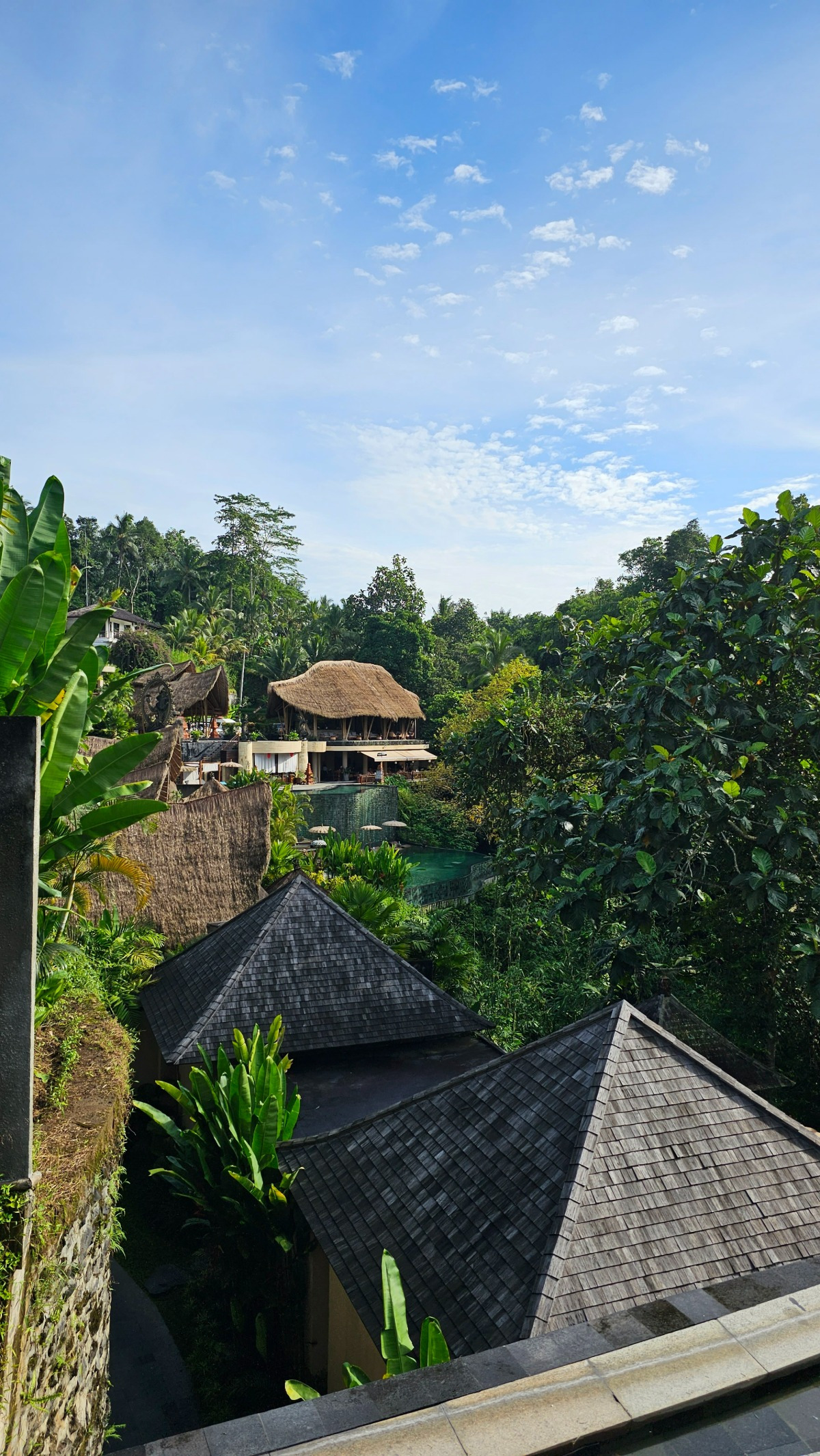 KakaoTalk_20251204_153333182_18 (1).jpg