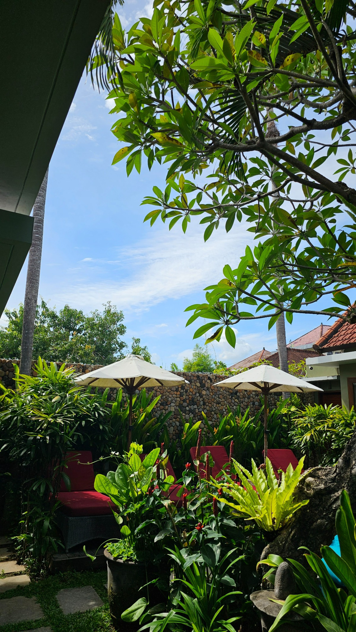 KakaoTalk_20251204_153333182_11 (1).jpg