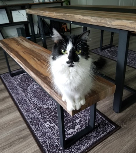 Savananal - Gilja.jpg