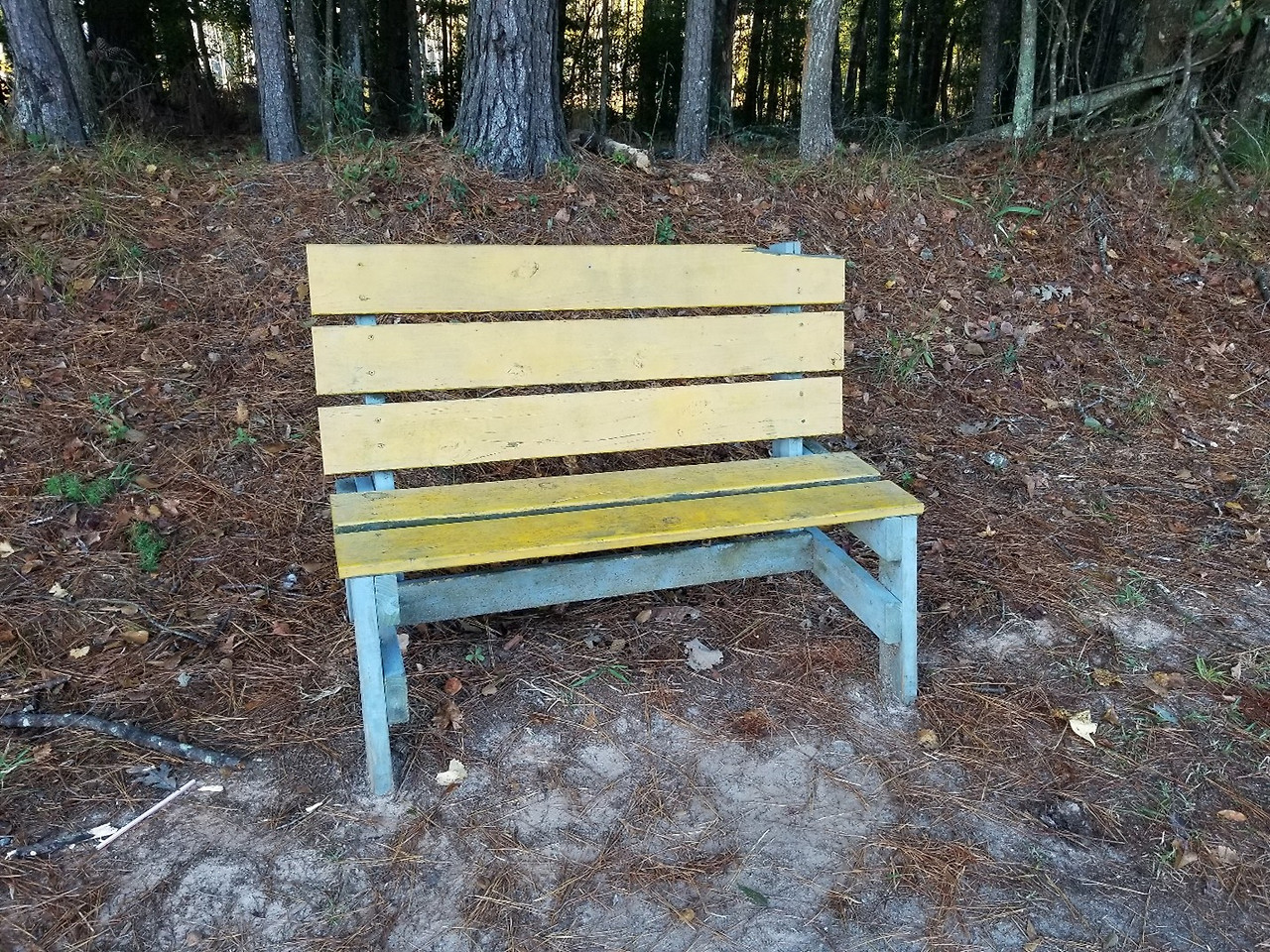 Bench of Savannah.jpg