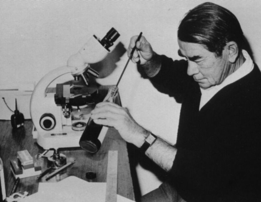 앙드레 첼리체프.jpg