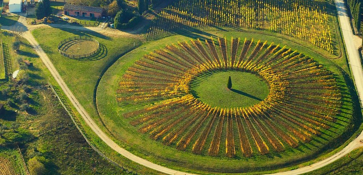 아비뇨네지 와이너리 전경.jpg