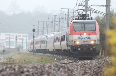 무궁화호 세계일보 제공.jpg