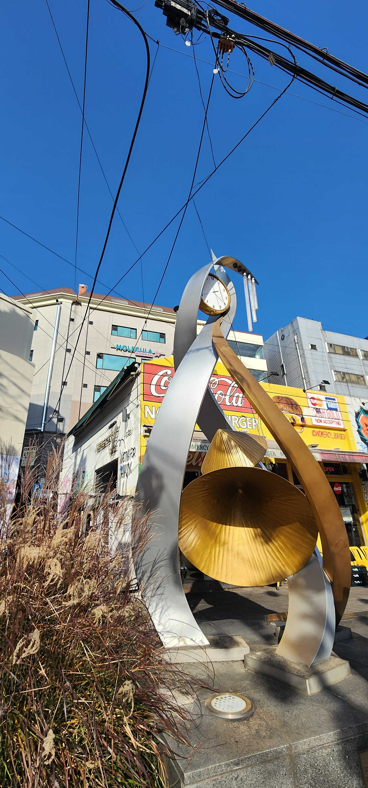 251202 베트남퀴논길.jpg