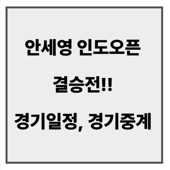 안세영 인도오픈 결승6.jpg