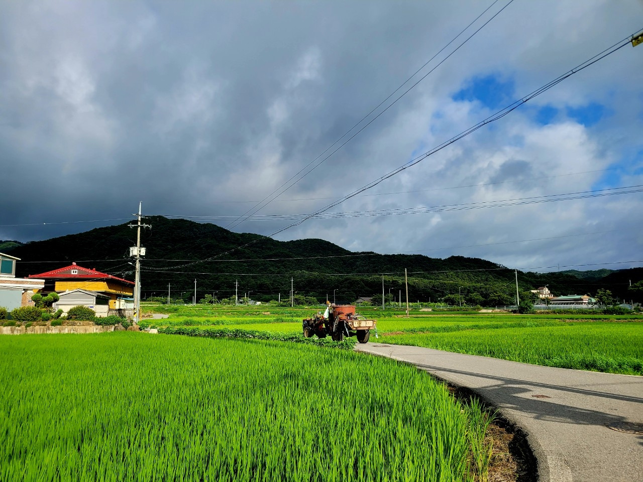 a_ja6Ud018svcqxoaf5v2cqvl_qj5d0d (1).jpg