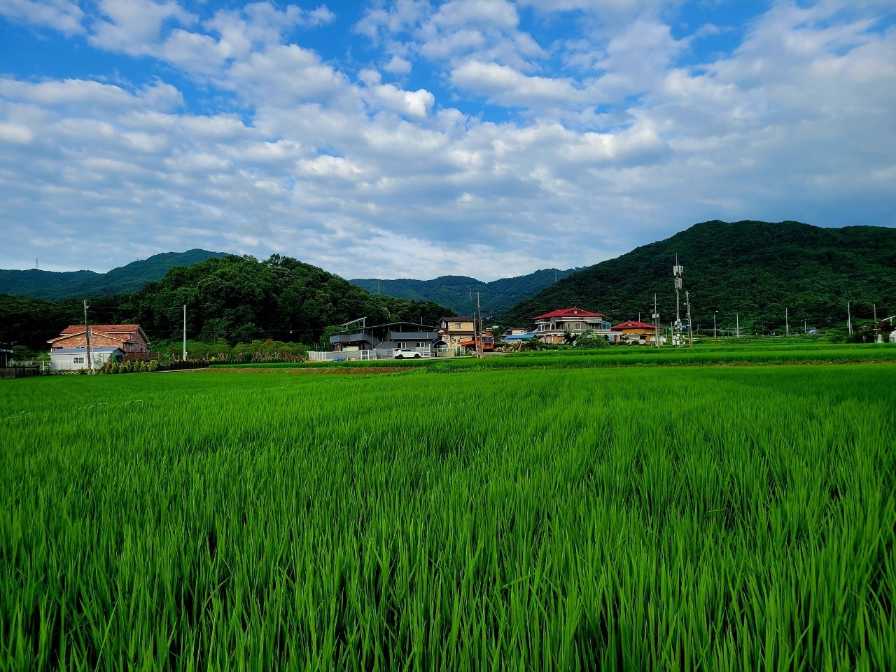 b_8a6Ud018svc1tedmuok8pv3f_qj5d0d (1).jpg