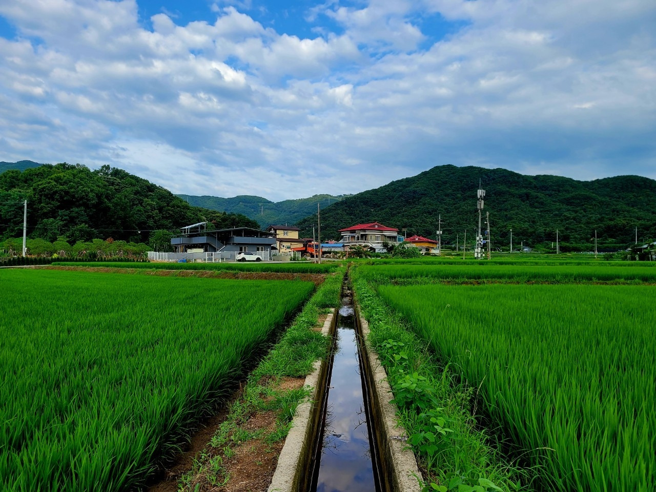 b_2a6Ud018svc11wqtukigu1n5_qj5d0d (1).jpg