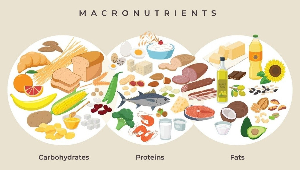 사본 - 1_gahUd018svcc95kmozfohrc_qj5d0d (1).jpg