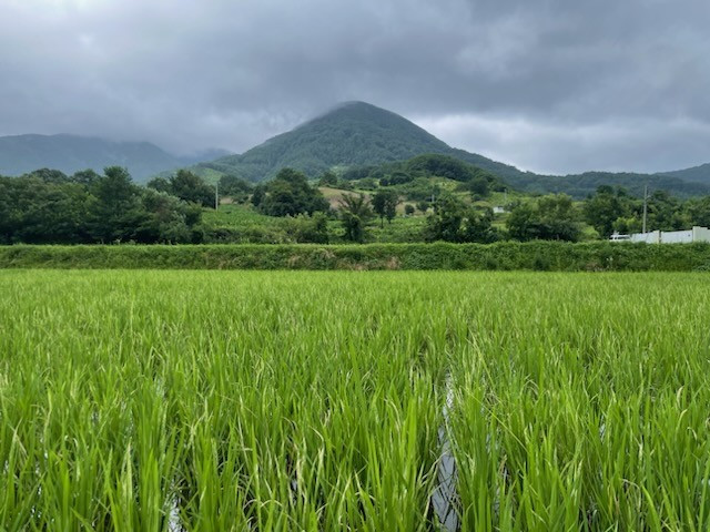 e_25hUd018svc1llorh5nrybco_qj5d0d (1).jpg