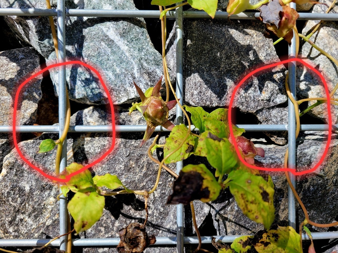 d_ab4Ud018svc8nd7rhhhxjnz_qj5d0d (2).jpg