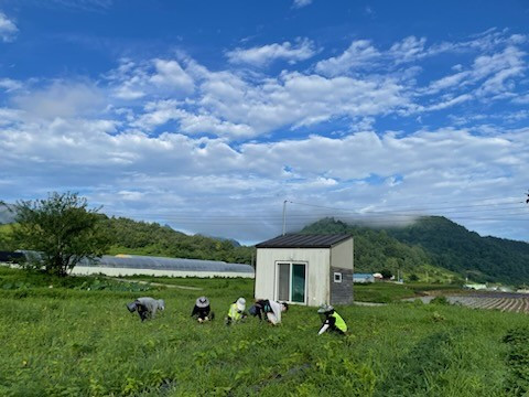 d_e5hUd018svc175nutflwi6a4_qj5d0d (2).jpg