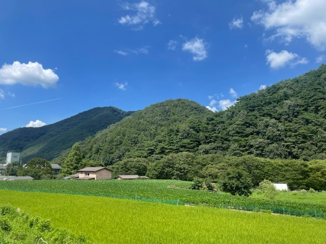 e_05hUd018svcn3nhqo8pchog_qj5d0d (3).jpg