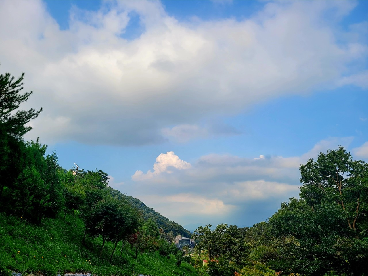 b_5a6Ud018svcsjkugeeeucfz_qj5d0d (1).jpg