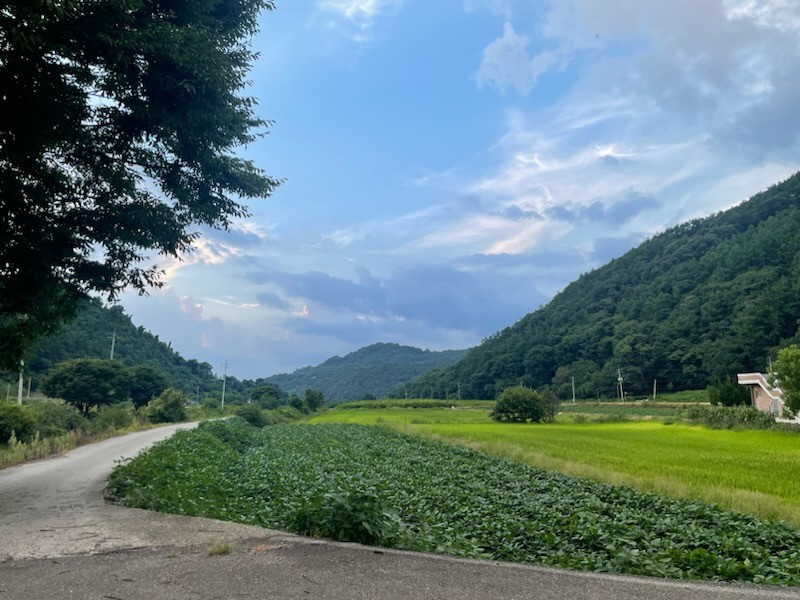 d_h5hUd018svcuqlp5jiw3n9t_qj5d0d (1).jpg