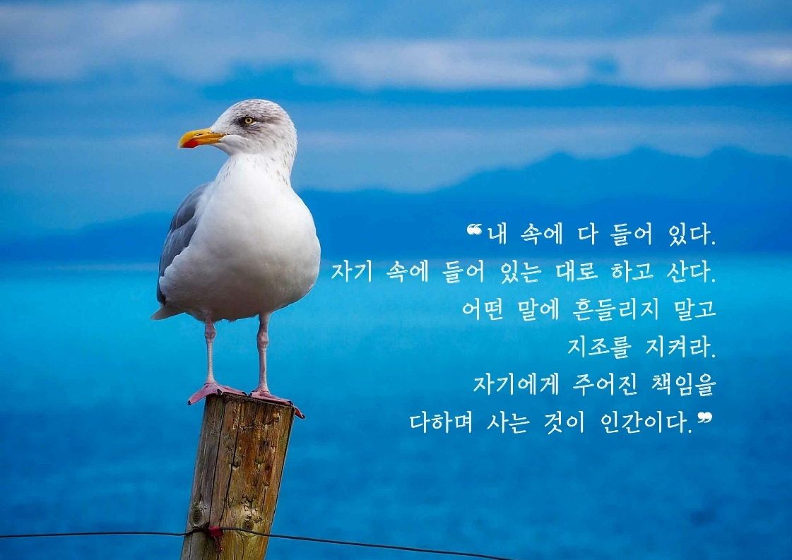 내 속에 다 들어 있다.pdf_page_1.jpg