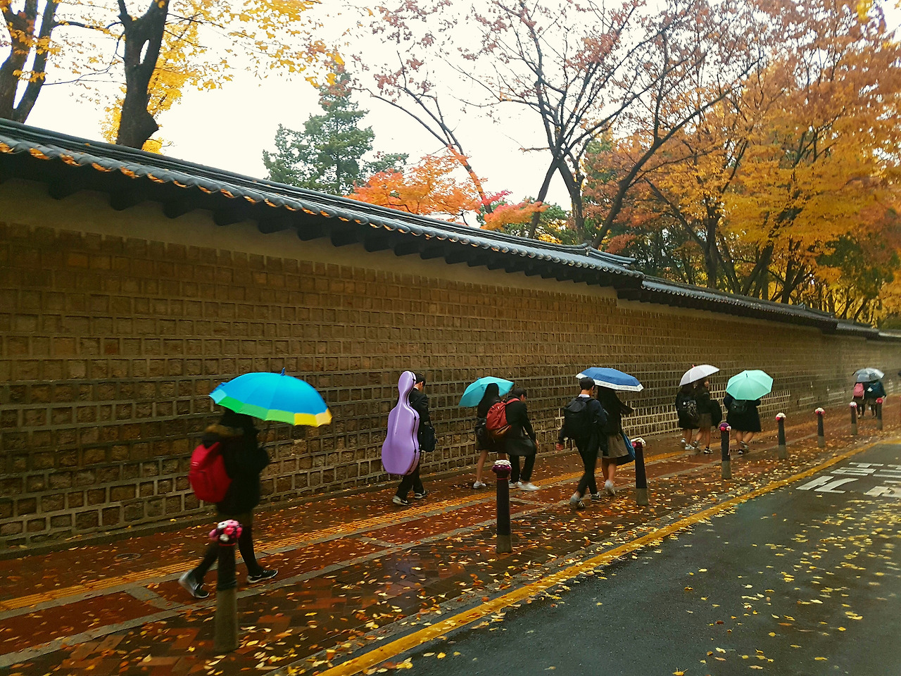 20161114_161655 (1).jpg