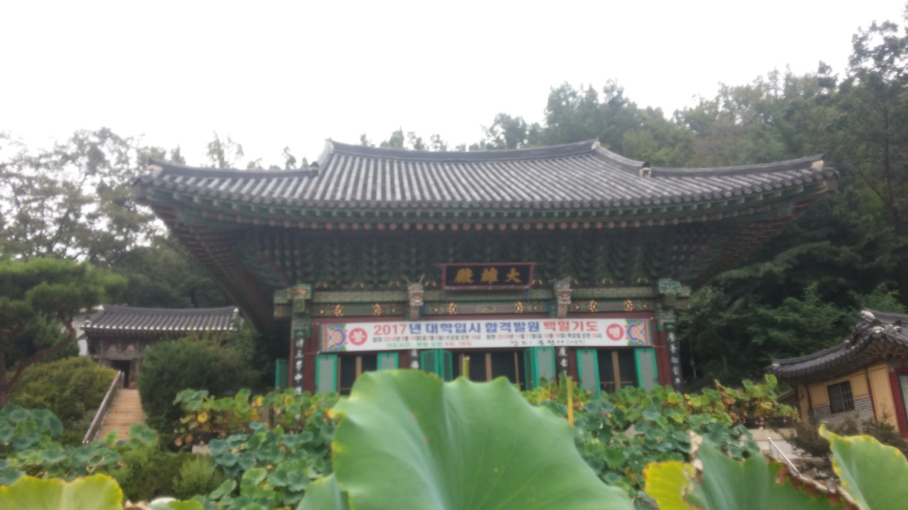 대웅전_20160916_160344.jpg