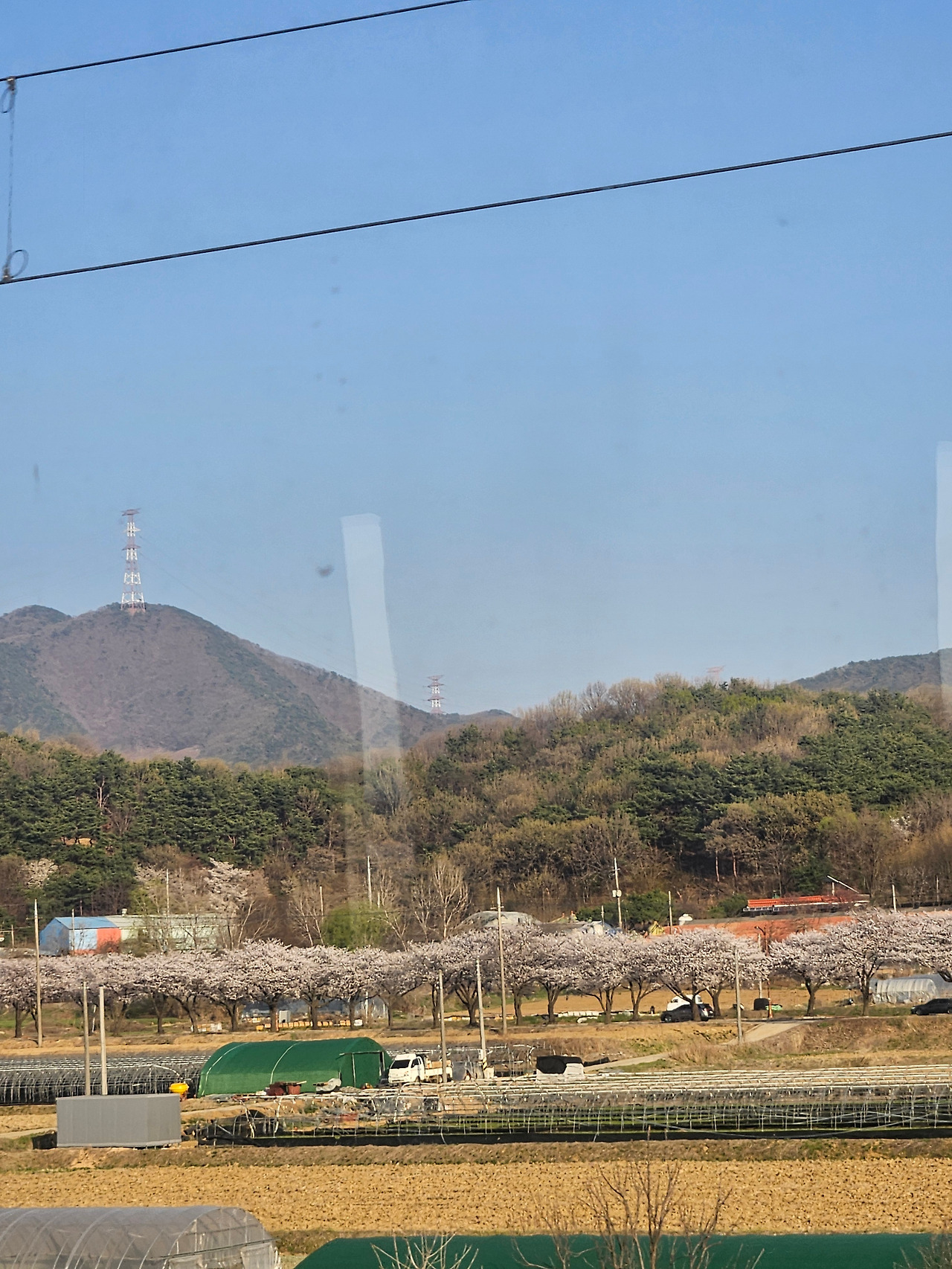 카지노 게임 추천