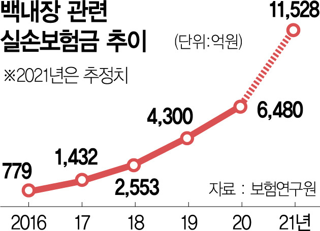 연도별 백내장 실손보험금_서울경제.jpg