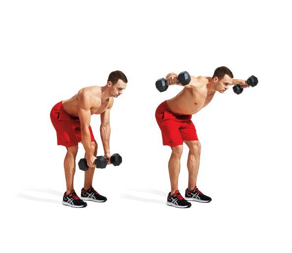 27.-dumbell-bentover-lateral-raise-30-best-shoulder-exercises-of-all-time-shoulders.jpg