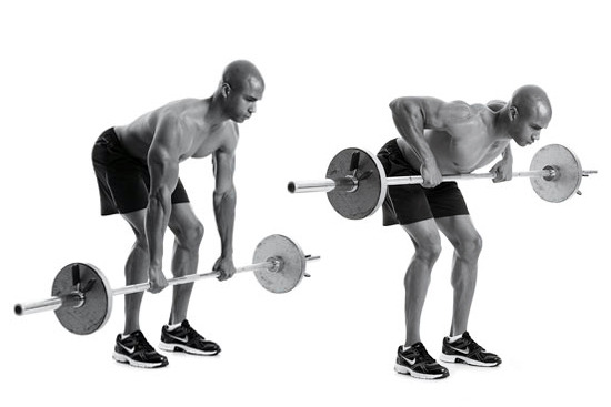 barbell-row.jpg
