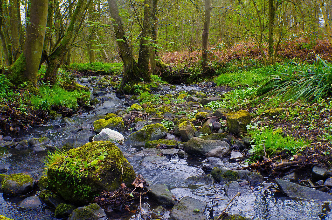 봄의소리듣기 (3).jpg