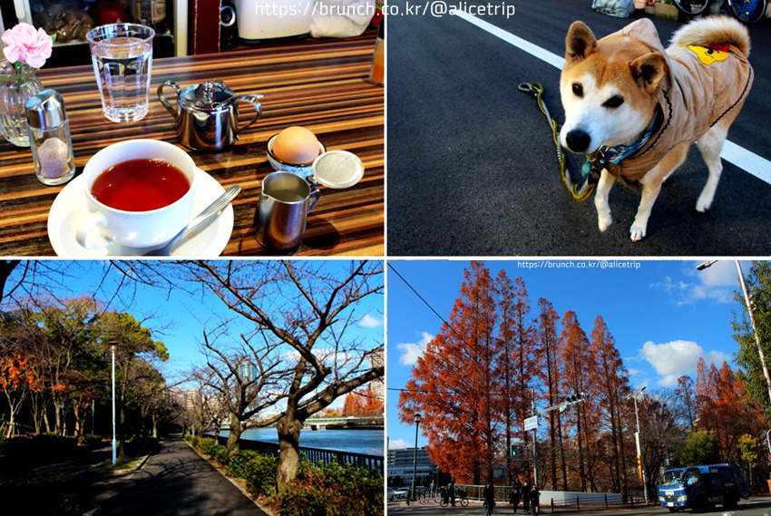 IMG_3350osaka trip 복사.jpg