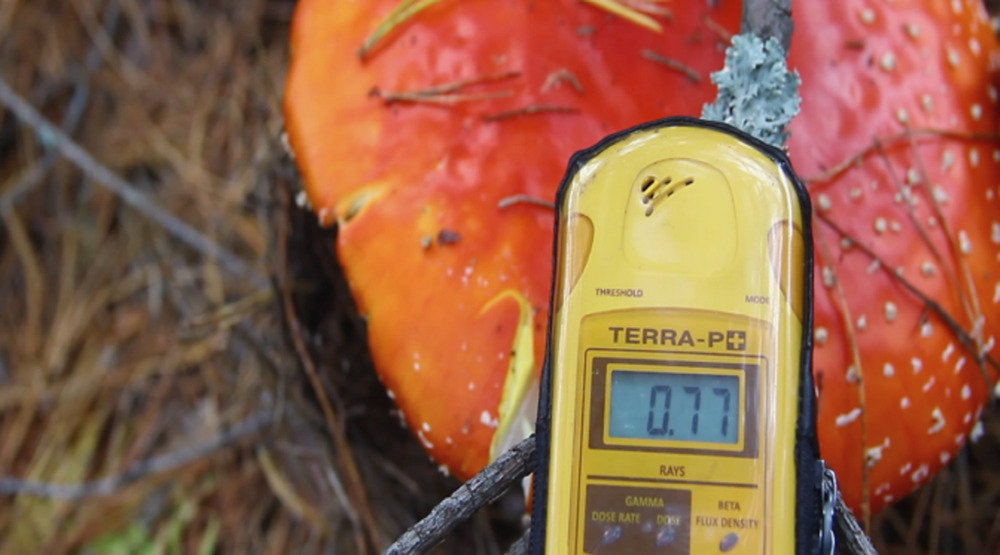 체르노빌_지옥의 묵시록 2.jpg