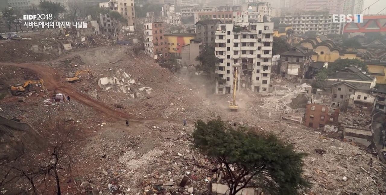 시바티에서의 마지막 나날들 3.jpg