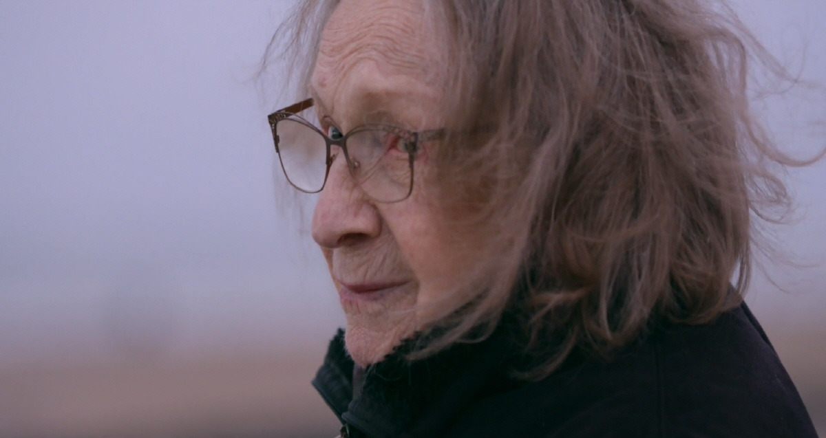 사빈 바이스 한 세기의 기록 1.jpg