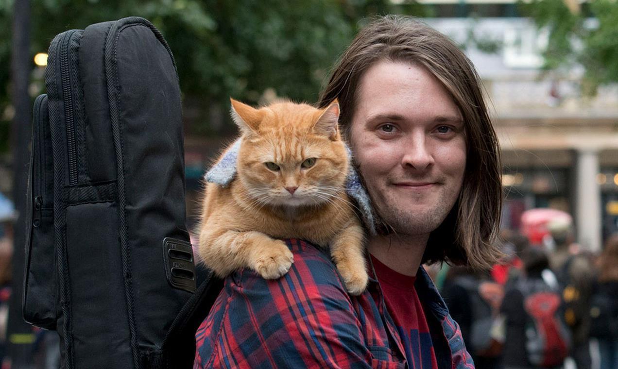 Streetcat-Bob.jpg