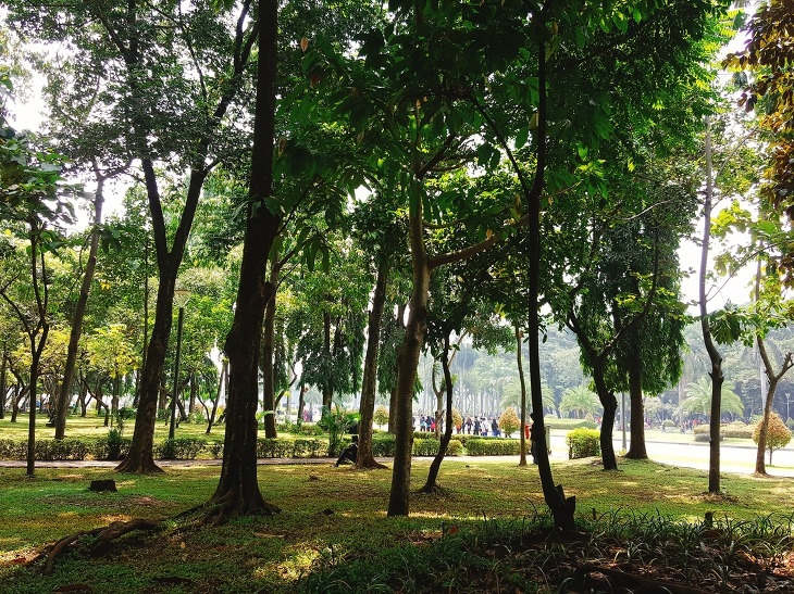 모나스 광장2.jpg