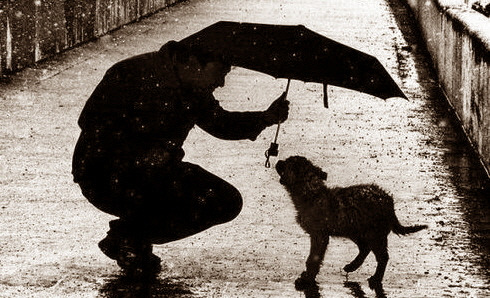 사본 -%BF%EC%BB%EA.jpg