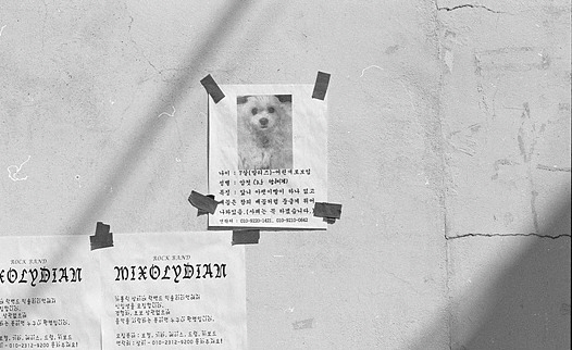 사본 -img042_dorajjang81.jpg