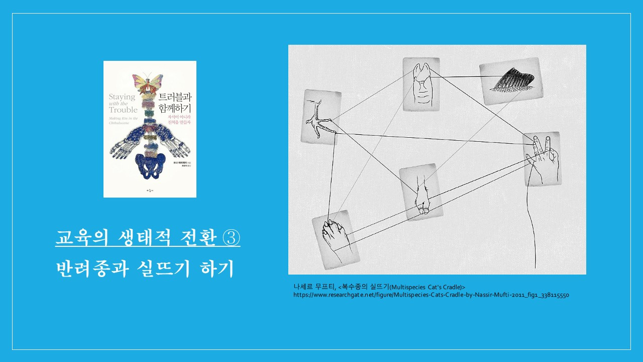 (211110) 기후위기와 교육의 생태적 전환_윤상혁_최종_21.jpg