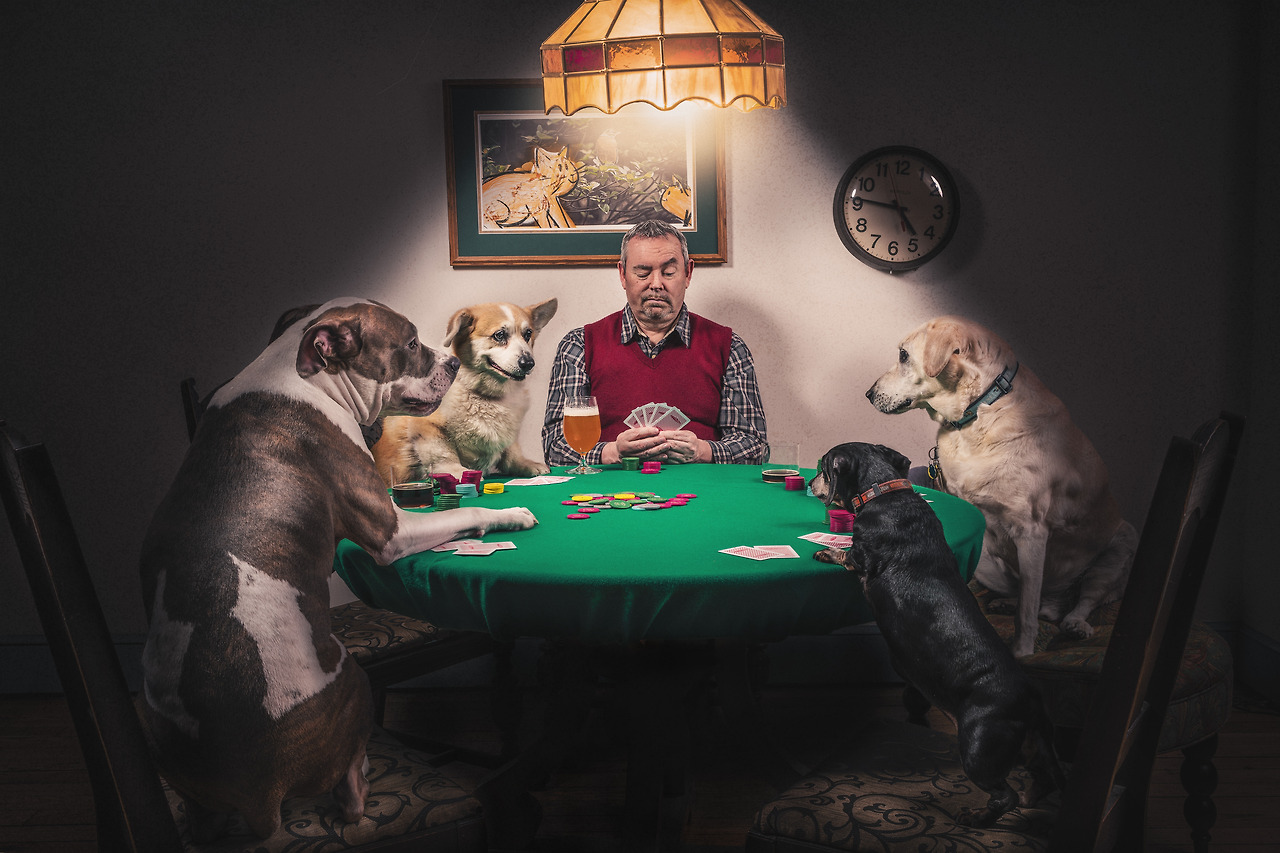 gratisography-man-dogs-playing-cards.jpg