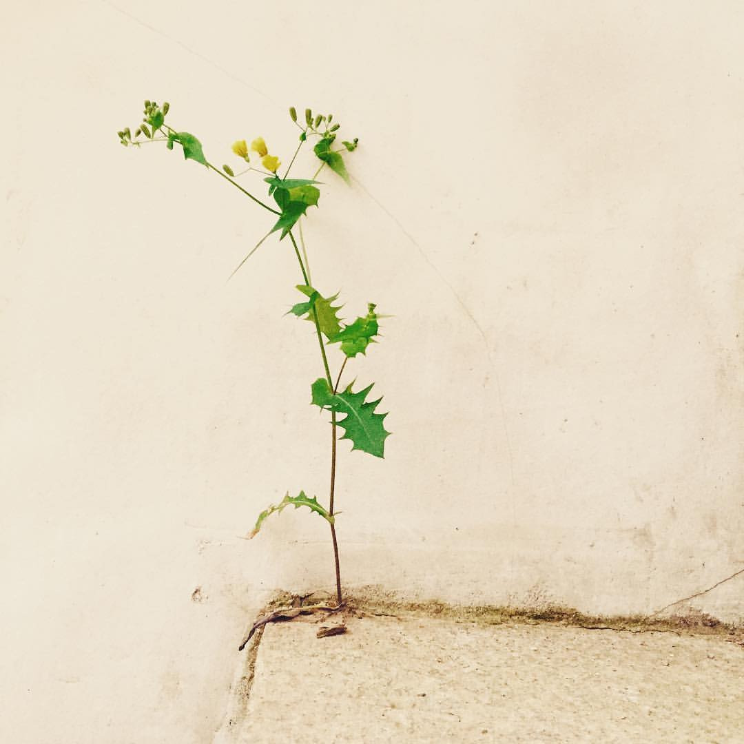 액션랩, 이슬기 (6).jpg