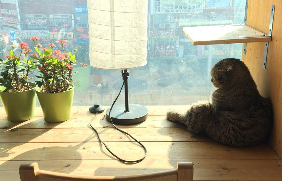 FullSizeRender (6).jpg