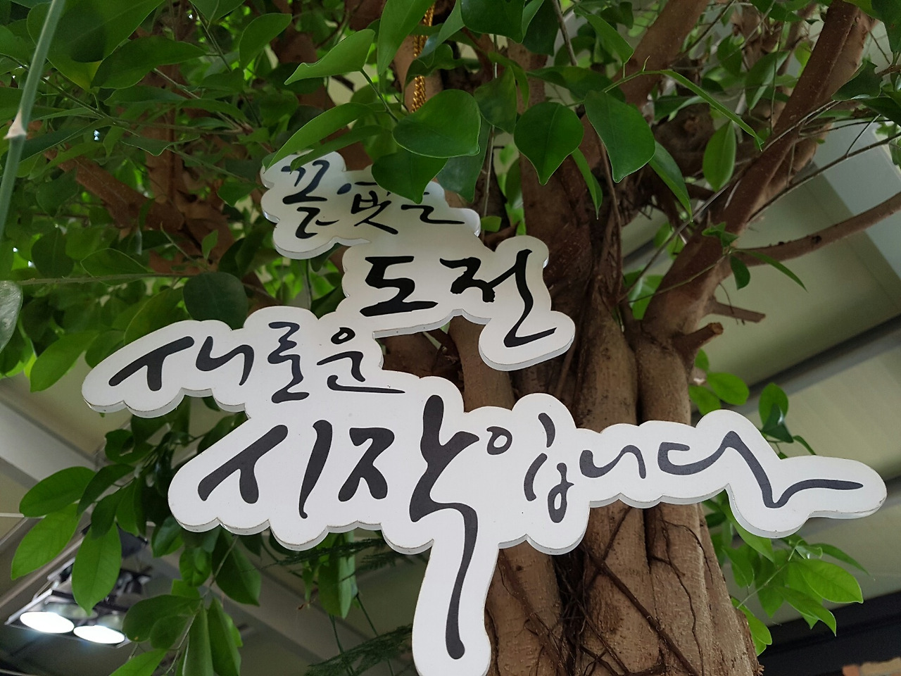 (1208) 새로운도전1.jpg