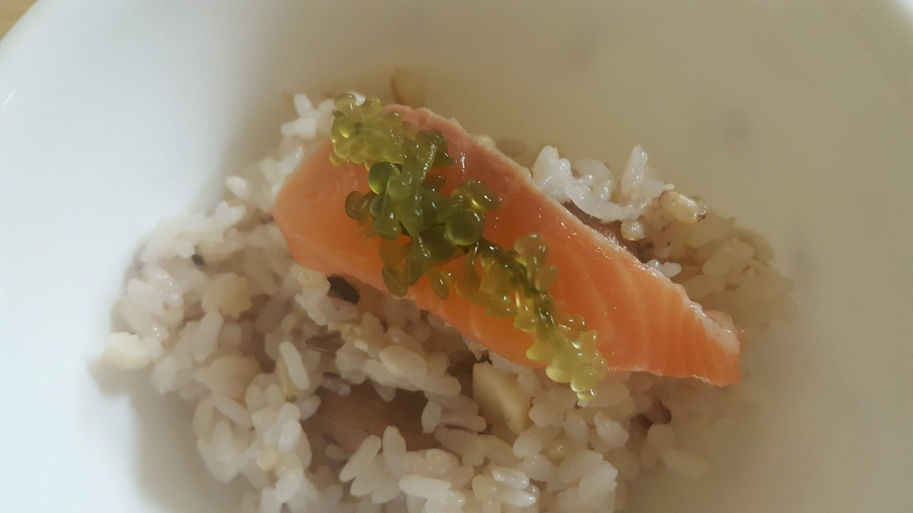 56. 바다포도연어덮밥.jpg